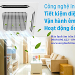 Nguyễn Thảo